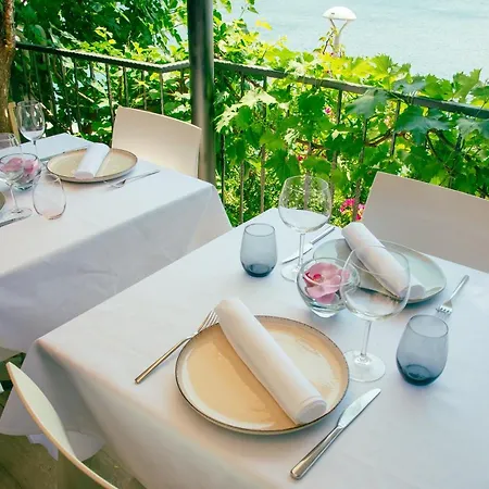 Nova Neum